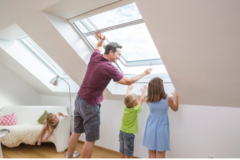 Insektenschutz Rollo&nbsp;
für Fenster und Dachfenster&nbsp;